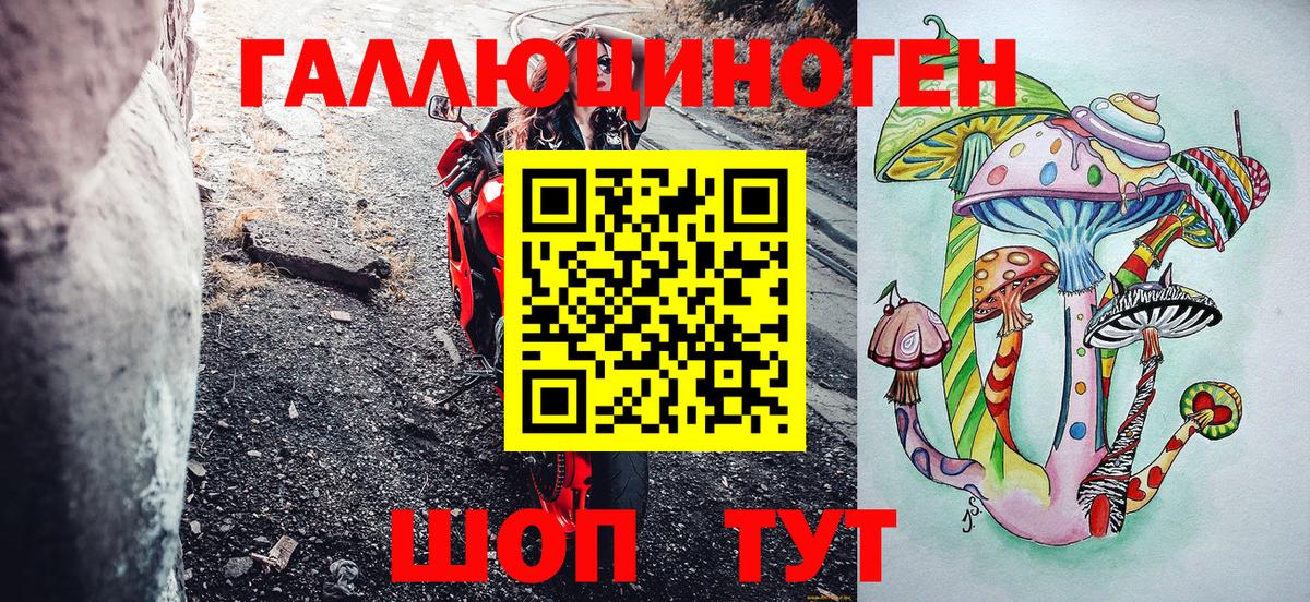 Галлюциногенные грибы Psilocybe Феодосия